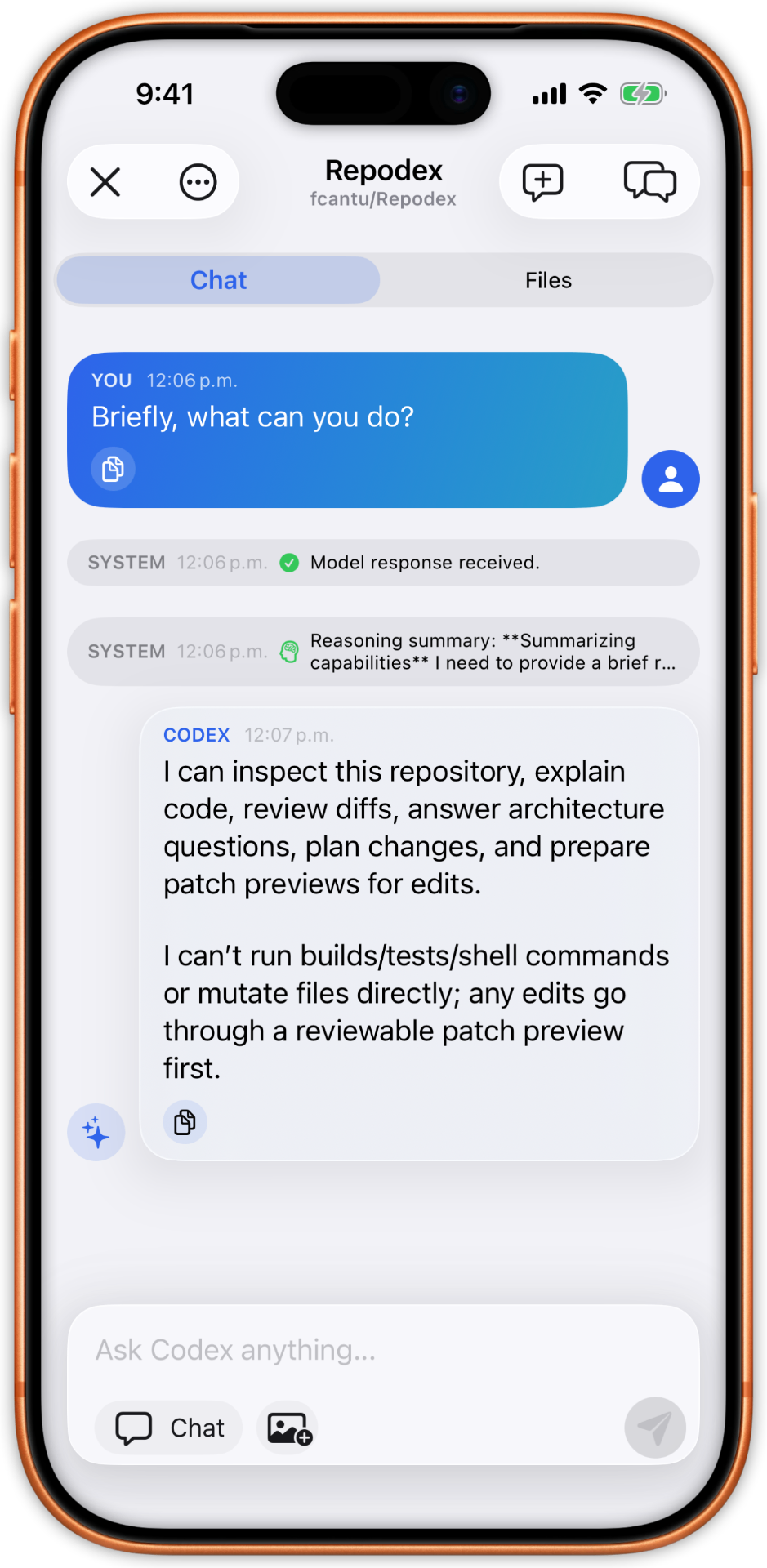 Repodex agent chat explaining its capabilities
